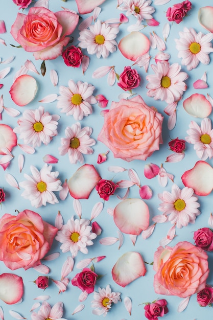 Estampado de flores de capullos de rosas, camomiles y pétalos sobre fondo azul.