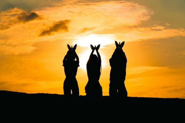 Están haciendo símbolos de palomas sobre la libertad y la naturaleza sobre un fondo de puesta de sol. concepto de esperanza