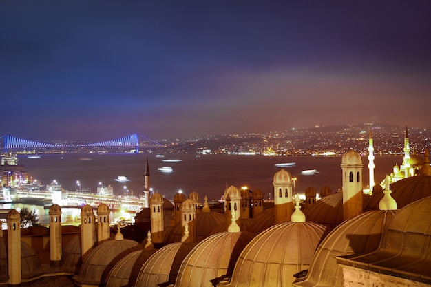 Estanbul. Noche. Nublado. Vistas al Estrecho del Bósforo, el Puente de Gálata, el Puente del Bósforo y los tejados de Medrese-i Rabi. Muchos barcos