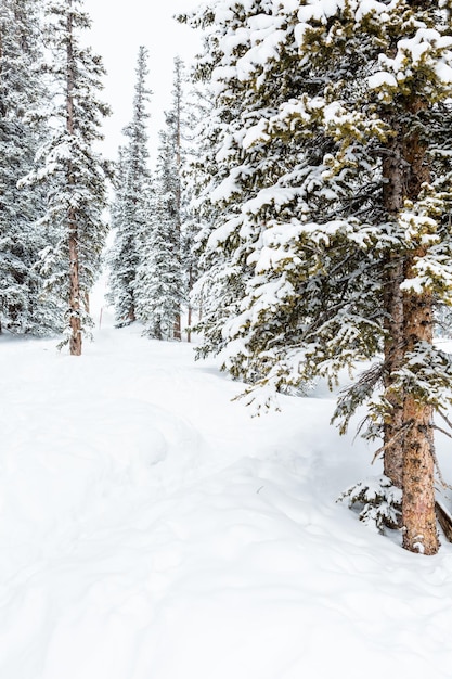 Estância de esqui no final da temporada após a tempestade de neve no Colorado.