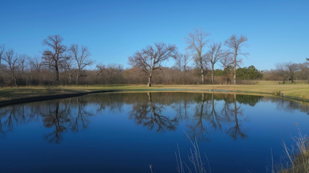 Un estanque cristalino refleja el cielo azul y los árboles en ciernes creando un espejo hipnotizante de la naturaleza