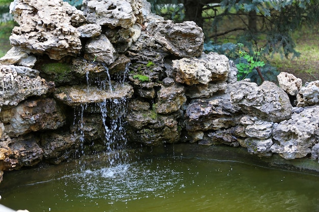 Estanque decorativo en el parque