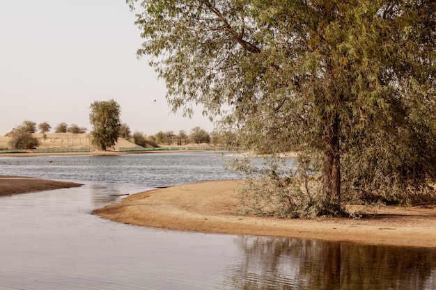 Estanque del desierto en un parque en Dubai