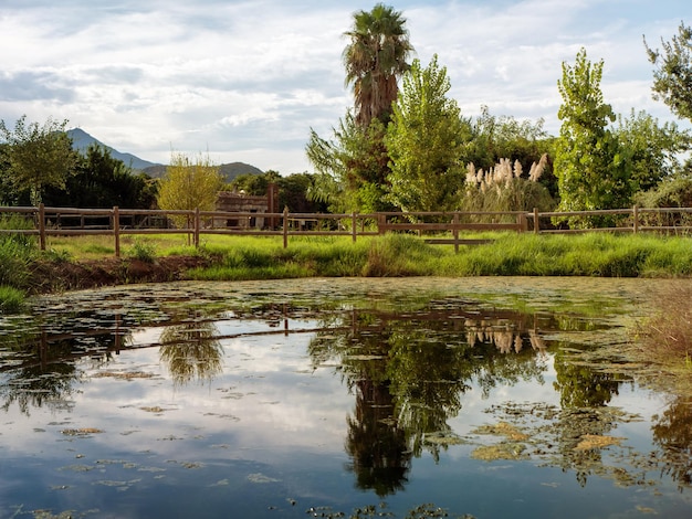 Un estanque de espejos en un parque natural en una tarde nublada