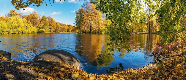 Foto estanque en la isla de elagin en san petersburgo en otoño panorama