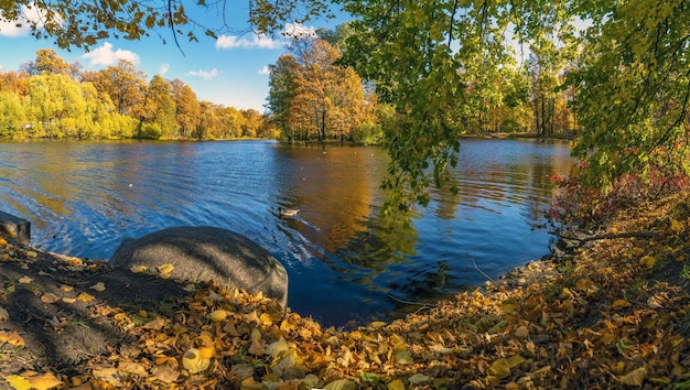 Foto estanque en la isla de elagin en san petersburgo en otoño panorama