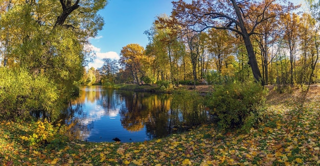 Estanque en la isla de Elagin en San Petersburgo en otoño Panorama