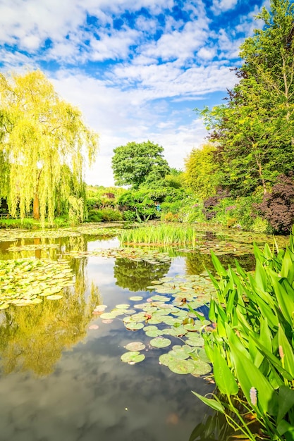 Foto estanque con lirios en giverny