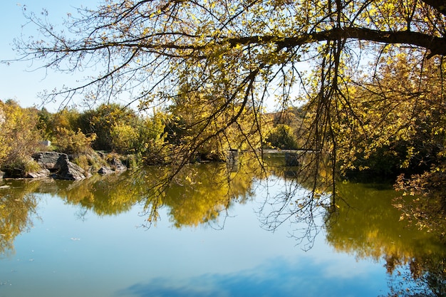 Estanque en otoño, hojas amarillas