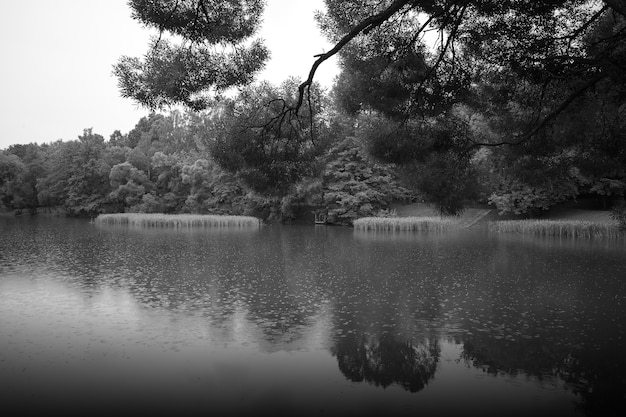 Estanque del parque durante el fondo del paisaje de lluvia