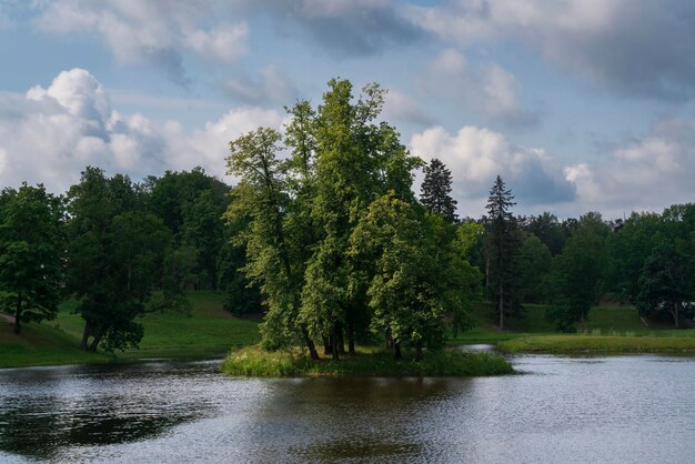 Foto bajo el estanque en el parque oranienbaum en un soleado día de verano lomonosov san petersburgo rusia