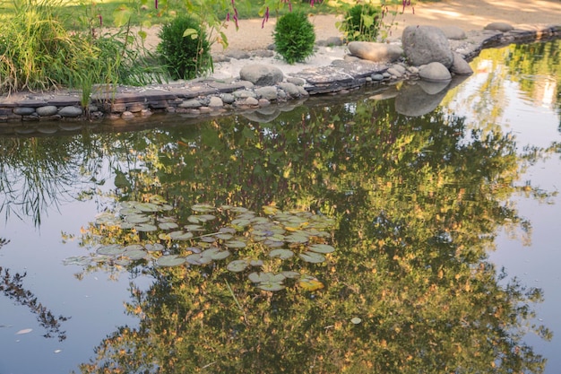 Estanque en un parque paisajístico con koi