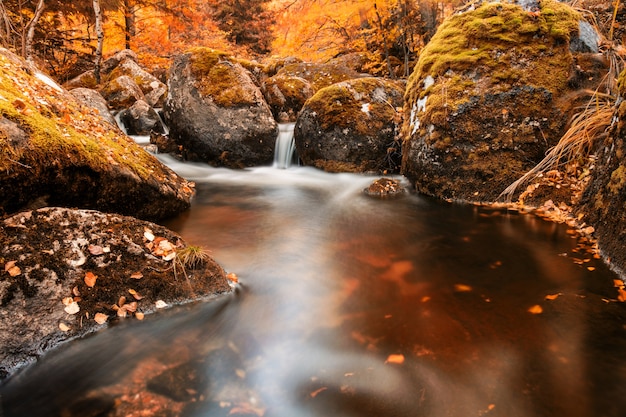 Estanque con una pequeña cascada que fluye hacia él en el otoño con hojas coloridas caídas