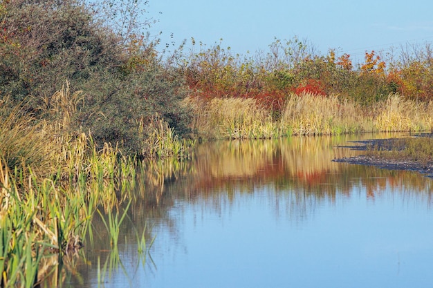 Estanque con reflejo bajo el cielo de otoño.