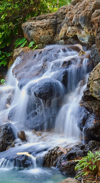 Estanque sereno con una cascada sobre rocas Paisaje de un pequeño manantial natural cerca de una piscina clara en un sendero de montaña Relajante escena de naturaleza pacífica Fondo tranquilo de agua que fluye sobre piedra afuera