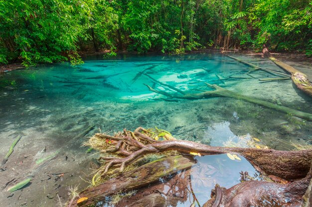 estanque de zafiro azul increíble en Krabi, Tailandia