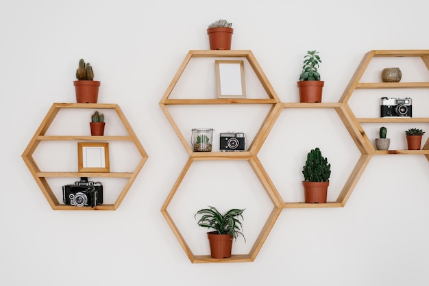 Foto estante hexagonal de madera en la pared de luz plantas de interior en maceta marcos fotográficos cámaras retro