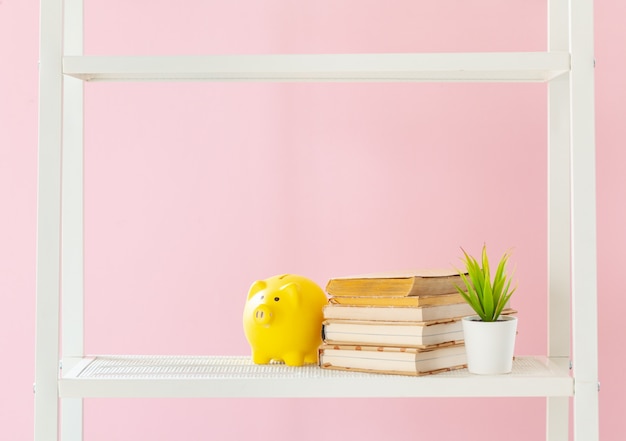 Estantería blanca con libros y plantas contra la pared rosa