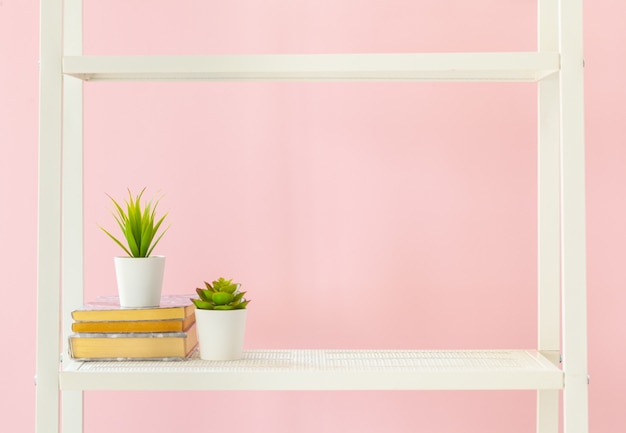 Estantería blanca con libros y plantas contra la pared rosa