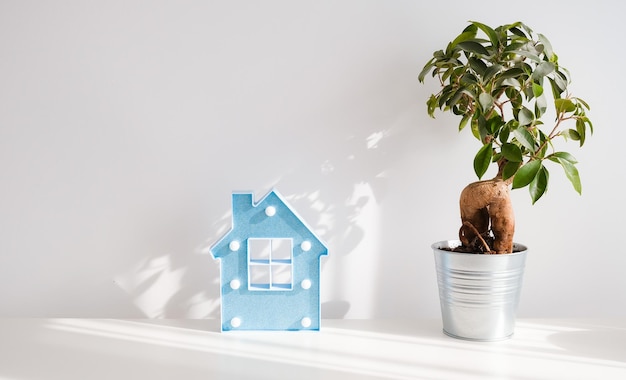 Estantería de madera blanca contra la pared Plantas verdes lámpara libros decoración natural