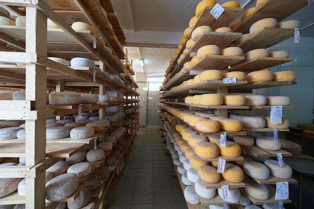 Estantes de producción de fábrica de queso con queso viejo envejecido orgánico local vacío