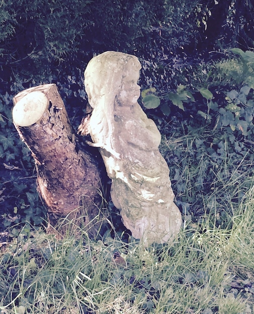 Foto estátua abandonada por uma árvore danificada em um campo gramado