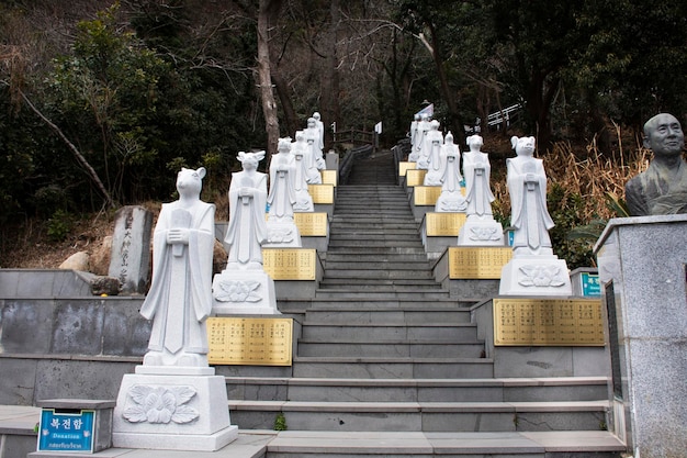 Estátua animal do zodíaco chinês no templo de Sanbangsa para o povo coreano viajantes estrangeiros visitam respeito orando bênção desejo místico em Seogwipo em 18 de fevereiro de 2023 em Jeju do island Coreia do Sul