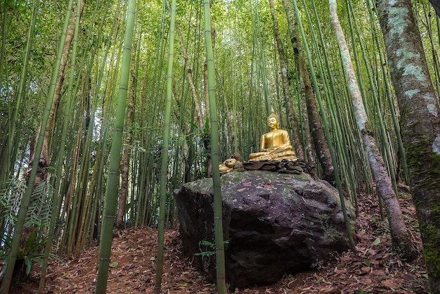 Estatua de Buda en el bosque de bambú