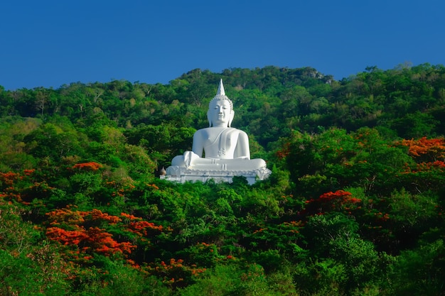 Estatua de Buda con cielo azul y bosque