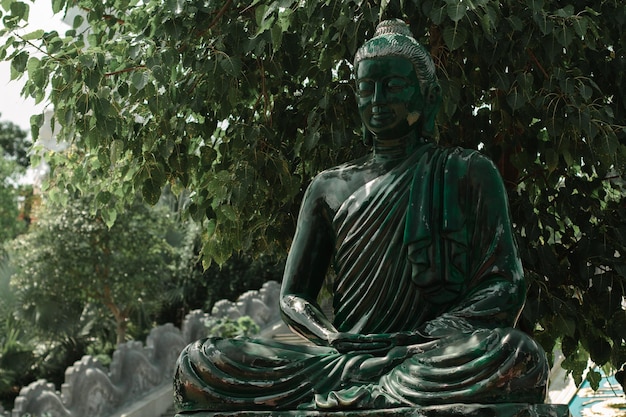 Foto estatua de buda contra los árboles