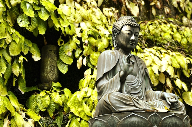 Foto estatua de buda contra las plantas