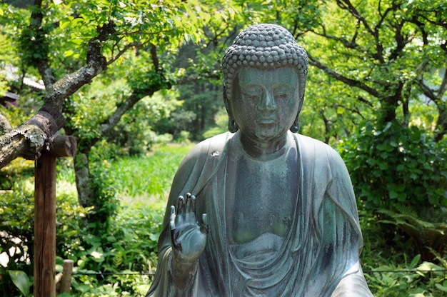 Estatua de Buda japonés en el entorno del jardín zen en Kamakura, Japón