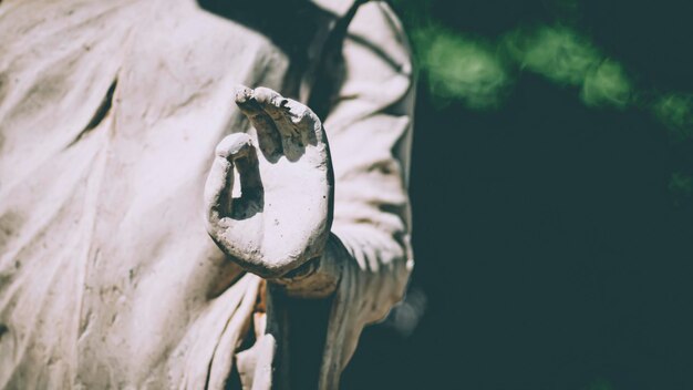 Estatua de Buda de pie en meditación