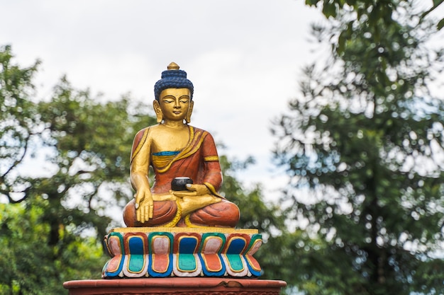 Estatua de Buda pintada en oro con árboles y cielo de fondo. Ciudad de Katmandú, Nepal.