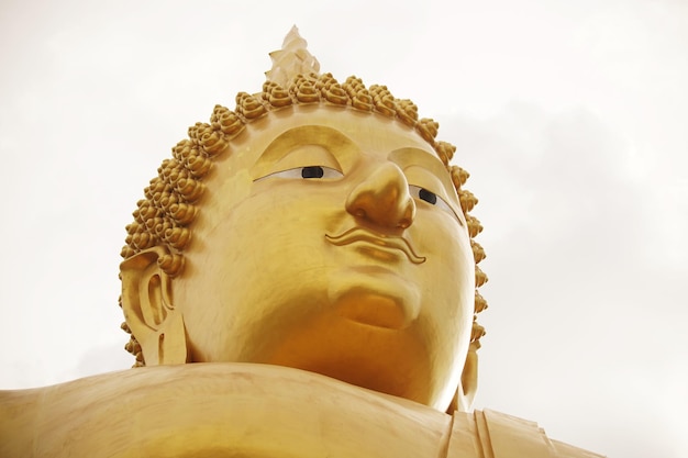 Estatua de Buda en el templo púbico de Tailandia aislado sobre fondo blanco.