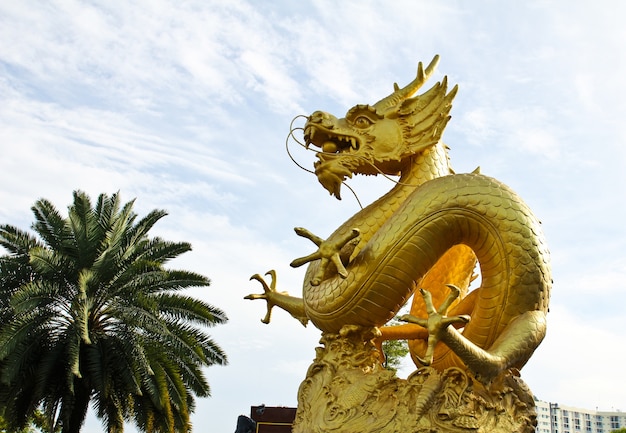 Estátua chinesa do dragão dourado em Phuket, Tailândia.