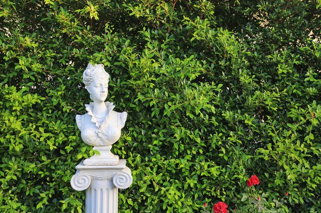 Estátua da mulher no jardim com espaço da cópia. Folha de parede no parque natural.
