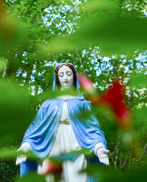 Estátua da virgem maria na floresta