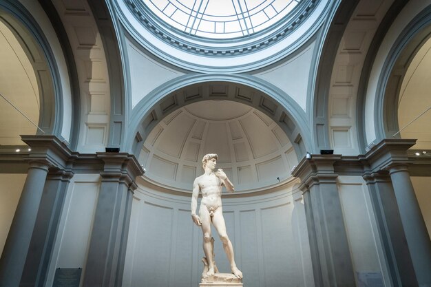 Estatua de David de Miguel Ángel, toma amplia de la Galería de la Academia de Florencia, Italia, Europa