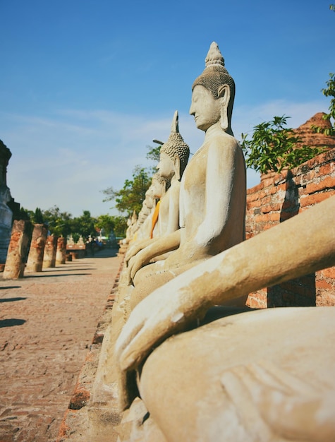 Foto estátua de buda contra o céu