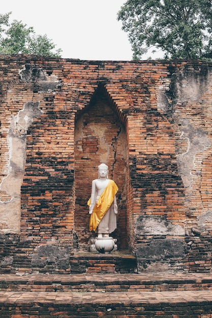 Estátua de Buda contra o edifício