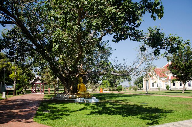 Estátua de Buda de ouro no jardim ao ar livre de Wat Niwet Thammaprawat Ratchaworawihan para pessoas rezando em 19 de dezembro de 2016 em Phra Nakhon Si Ayutthaya Tailândia