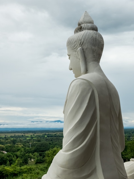 Estátua de buda em templo tailandês sobre o céu e a floresta