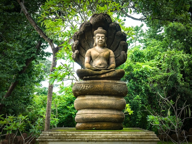 Estátua de Buda, protegida por capuz naga na floresta