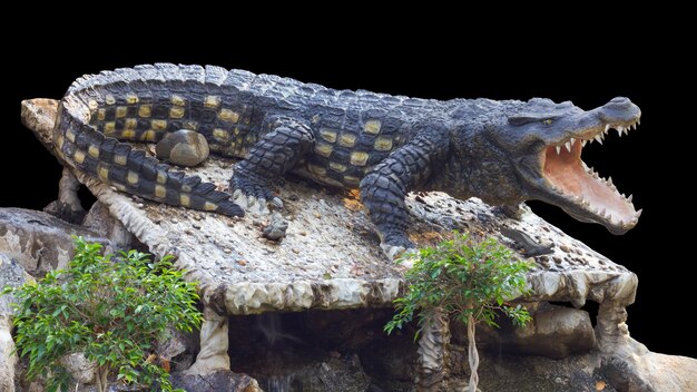 Foto estátua de crocodilo agape