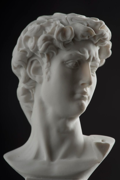 Foto estátua de gesso de estilo clássico grego michelangelo david busto