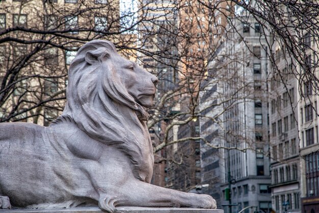Estátua de leão de pedra em frente à Biblioteca Pública de Nova York