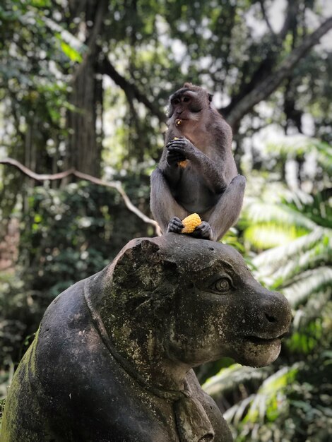 Foto estátua de macaco numa floresta