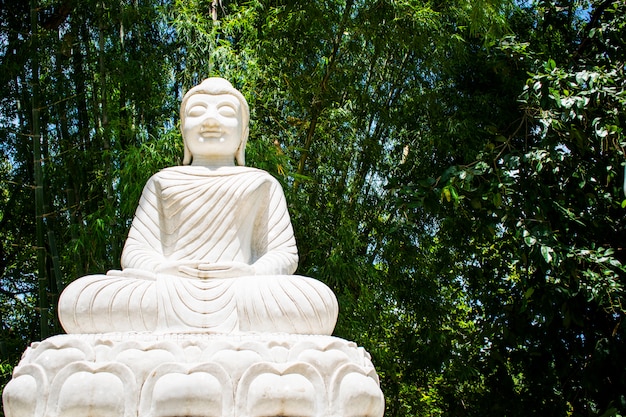 Foto estátua de pedra branca da buda em wat ratchakirihirunyaram em phitsanulok, tailândia.