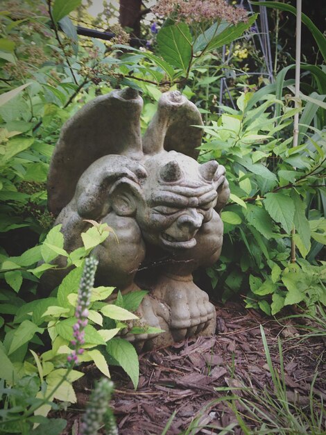 Foto estátua de plantas no jardim